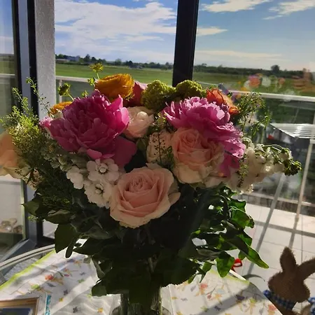 Sprezzatura * Agigea