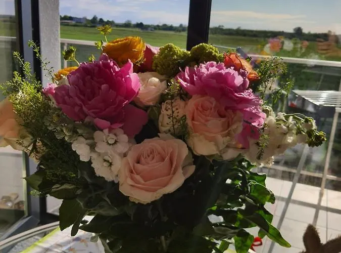 Sprezzatura * Agigea